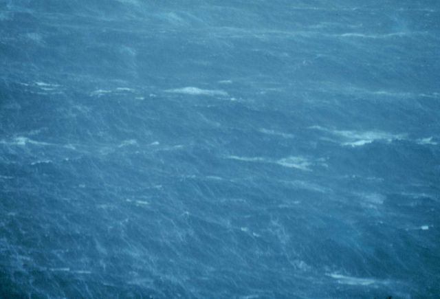 Sea surface from approximately 500 feet altitude in Hurricane Belle. Picture