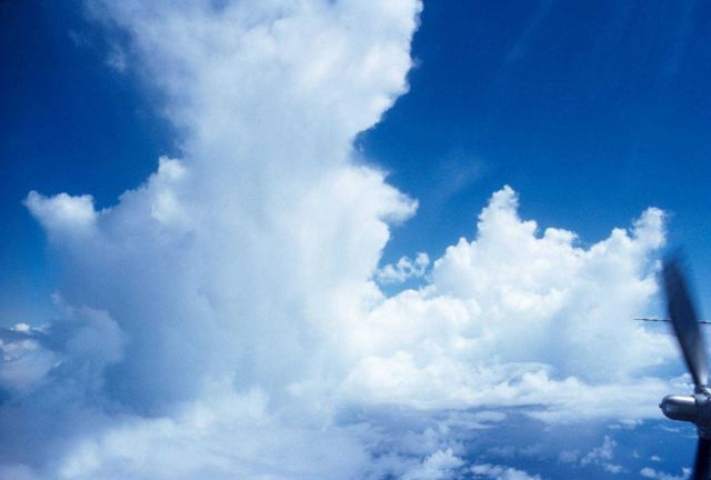 Cumulus tower possibly caused by seeding. Picture