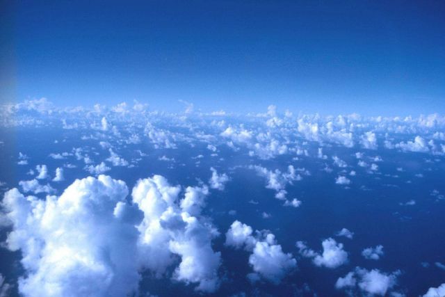 A sea of cumulus over the tropical Atlantic. Picture
