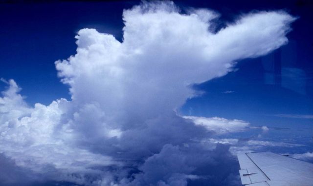 Project Cloudline. Picture