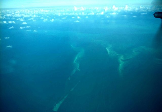 Submarine topography as seen over Florida Gulf Coast while on way to investigate Tropical Storm Ella. Picture