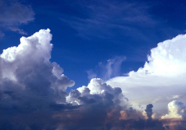 Late afternoon cumulus buildup as seen from the roof of a University of Miami building. Picture