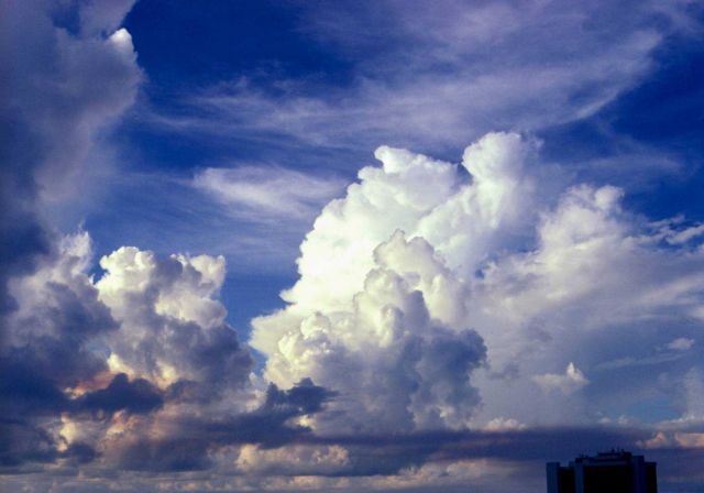 Late afternoon cumulus buildup as seen from the roof of a University of Miami building. Picture