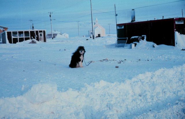 Station Number 108 - occupied successively from late 1964 to early 1966 Picture