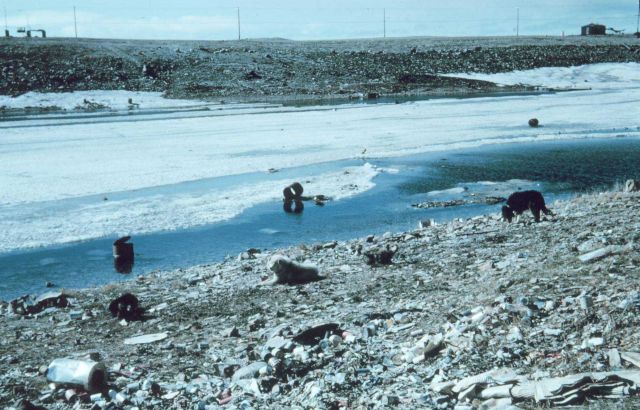 Station Number 108 - occupied successively from late 1964 to early 1966 Picture