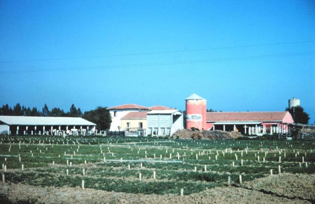 Station Number 016 Picture