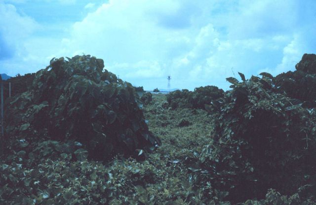 Station Number 022 Picture