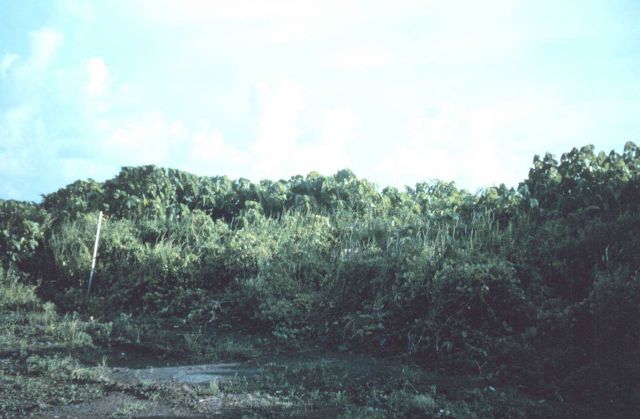 Station Number 022 Picture