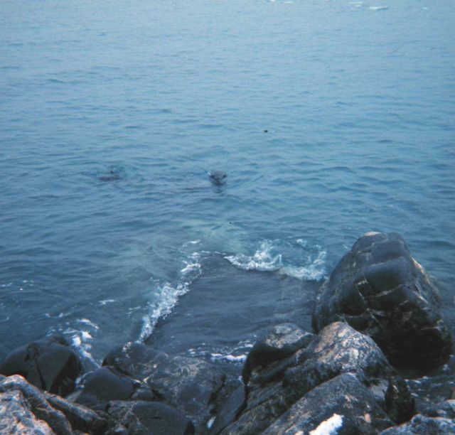 Station Number 050 Picture