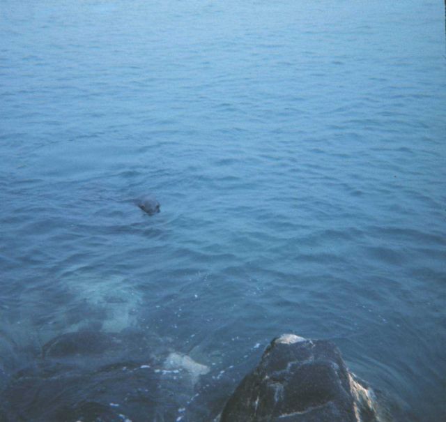 Station Number 050 Picture