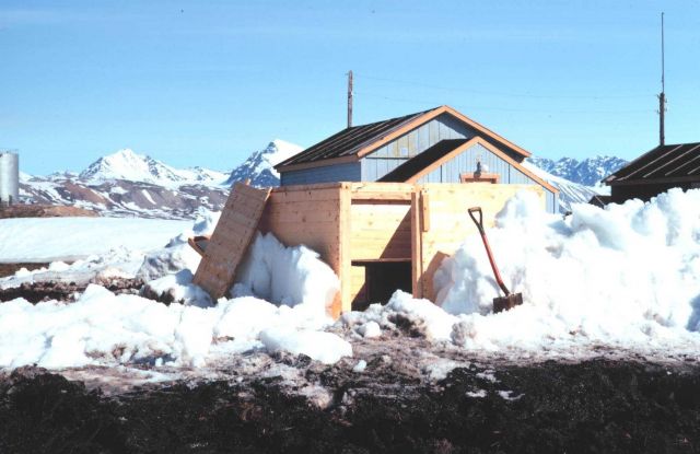 Observation hut for both BC-4 and Transit satellite receiver dug out of the snow . Picture