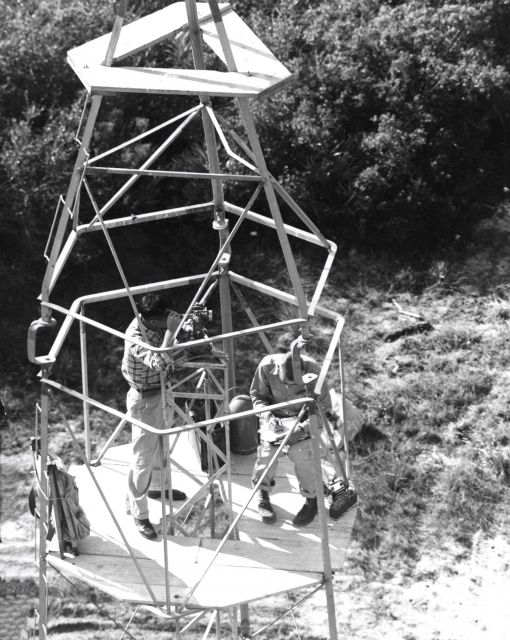 Geodesy Collection Picture