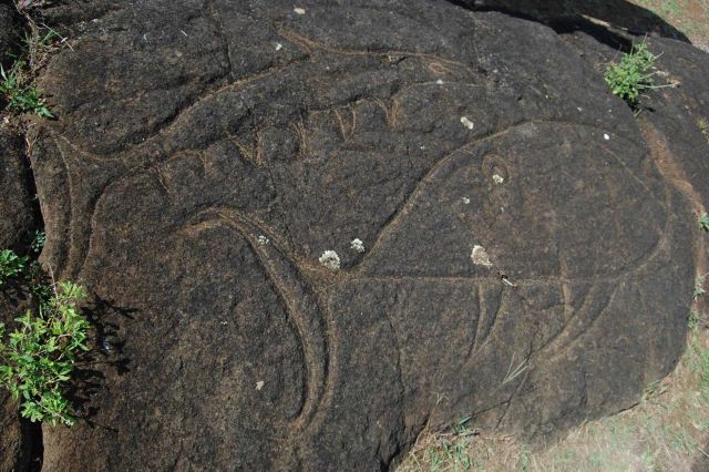 Fish petroglyphs at Rano Kau Picture