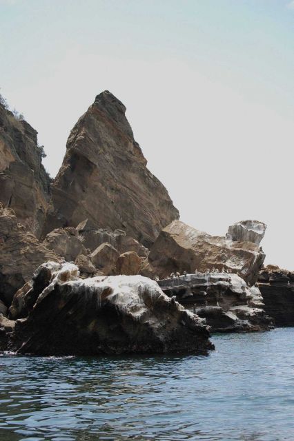 Bird paint on volcanic rocks Picture