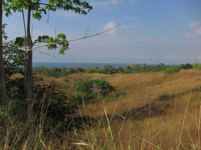 Coastline, Sao Tome Picture