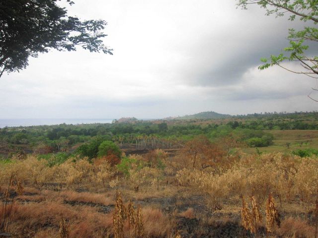 Coastline, Sao Tome Picture