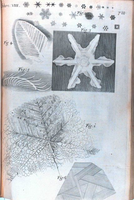 Images of snowflakes showing six-sided symmetry and ice crystals Picture