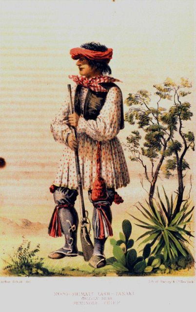 Noco Shimatt-Tash-Tanaki, Grizzly Bear, Seminole Chief Picture