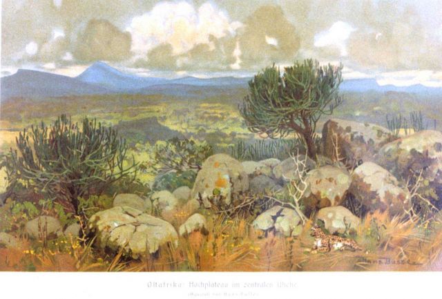 High plateau area within German East Africa colonies Picture