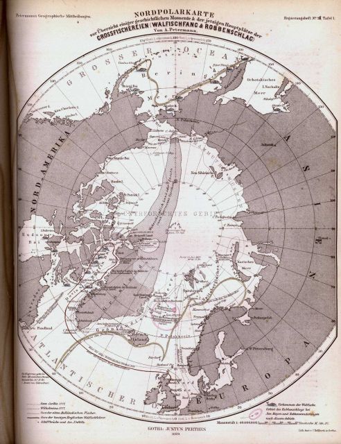 Nordpolarkarte Picture