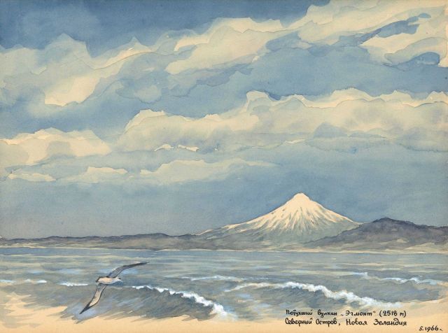 A wandering albatross graces the foreground of this image of a snow-capped volcano on the New Zealand coast. Picture