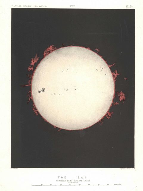 Astronomical Engravings Illustrating Solar Phenomena prepared at the Harvard Observatory under the direction of Joseph Winlock Picture