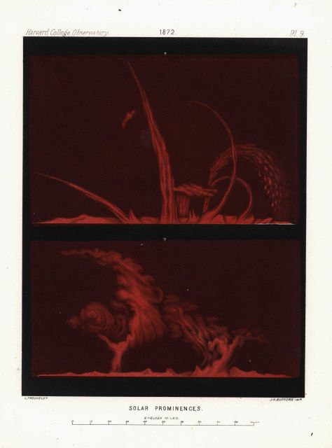 Astronomical Engravings Illustrating Solar Phenomena prepared at the Harvard Observatory under the direction of Joseph Winlock Picture