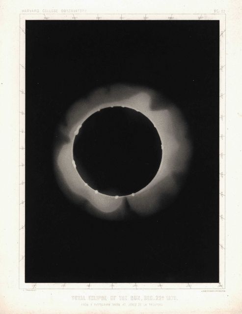 Astronomical Engravings Illustrating Solar Phenomena prepared at the Harvard Observatory under the direction of Joseph Winlock Picture
