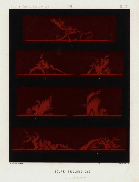Astronomical Engravings Illustrating Solar Phenomena prepared at the Harvard Observatory under the direction of Joseph Winlock Picture