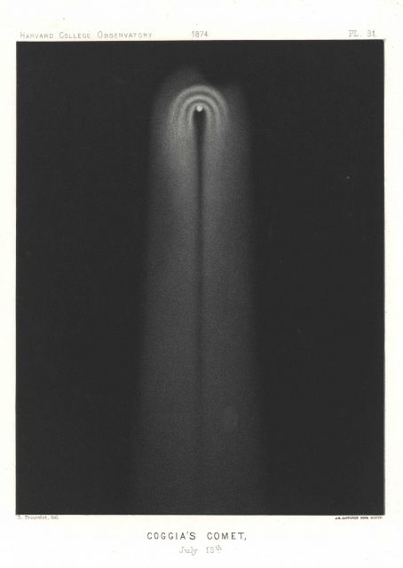Coggia's Comet 1874 Picture