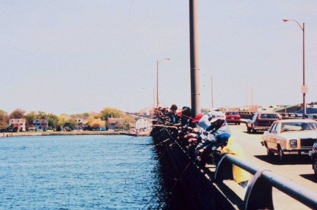 Squid fishing - not just a pastime but a passion in Rhode Island Picture