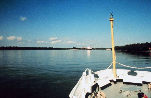 Heading up the Mississippi River to New Orleans Picture