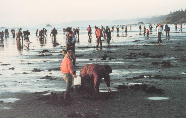 Clamming season opens on the Oregon coast. Picture