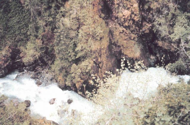 Mountain stream above Mendenhall Glacier Picture