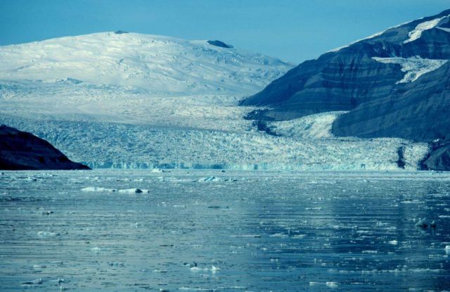 Guyot Glacier, Icy Bay Picture