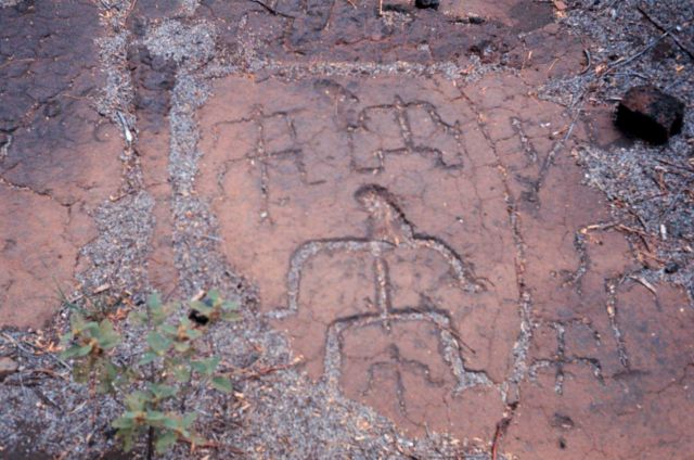 Petroglyphs Picture