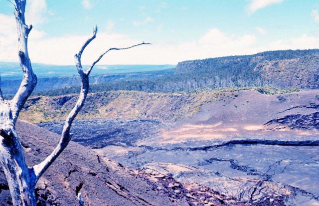 A volcanic crater with cracking floor, basalt cliffs and a dead tree in moon- like volcanic terrain. Picture