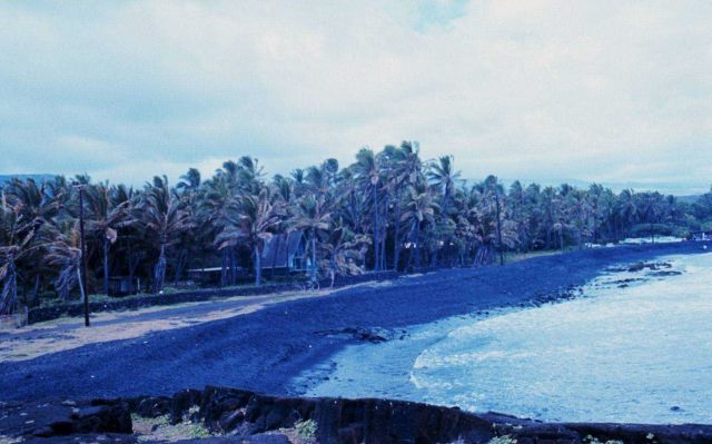 Punaluu Black Sand Beach Picture