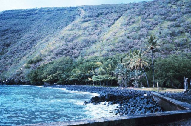 Hawaiian shoreline Picture