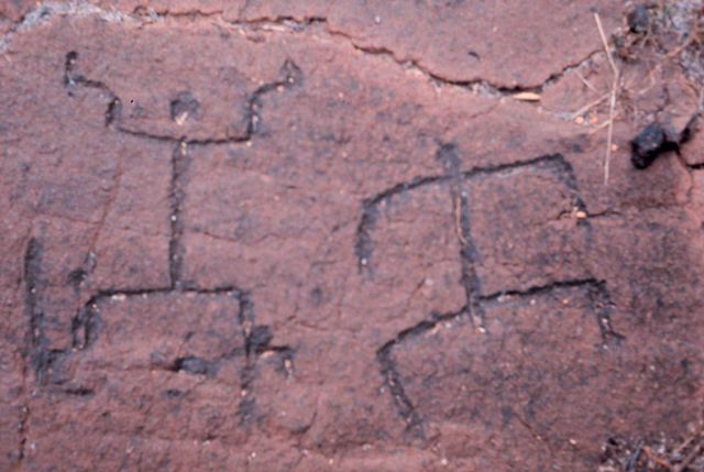 Petroglyphs Picture