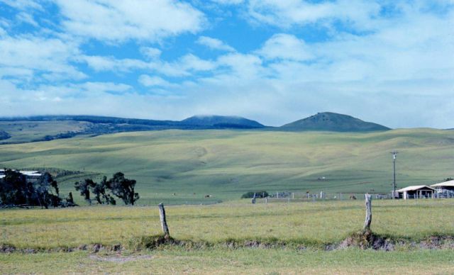 A scene in the Parker Ranch Picture