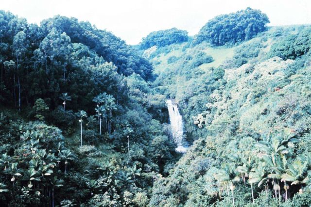 A beautiful waterfall in a lush valley Picture