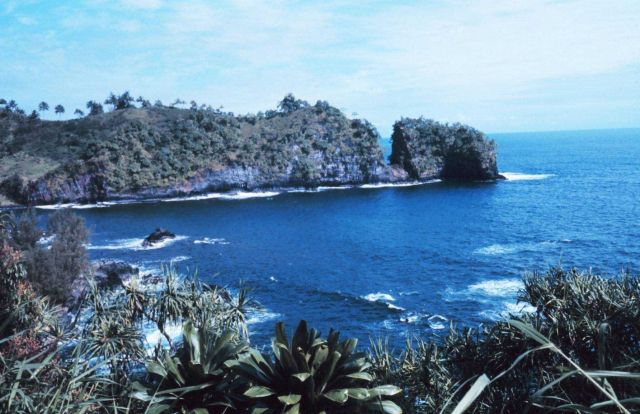 A coastal scene north of Hilo Picture