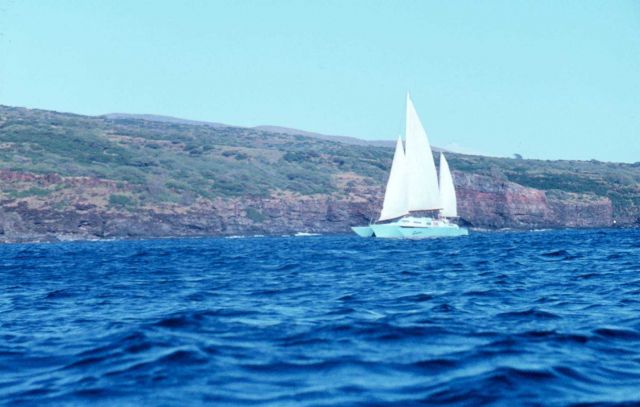 Catamaran sailing off Hawaiian island Picture