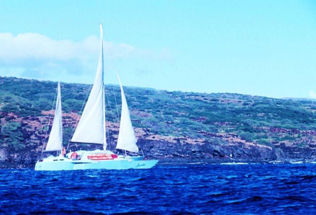 Catamaran sailing off Hawaiian island Picture
