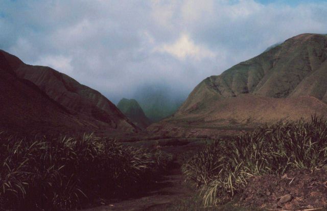 Pali Picture