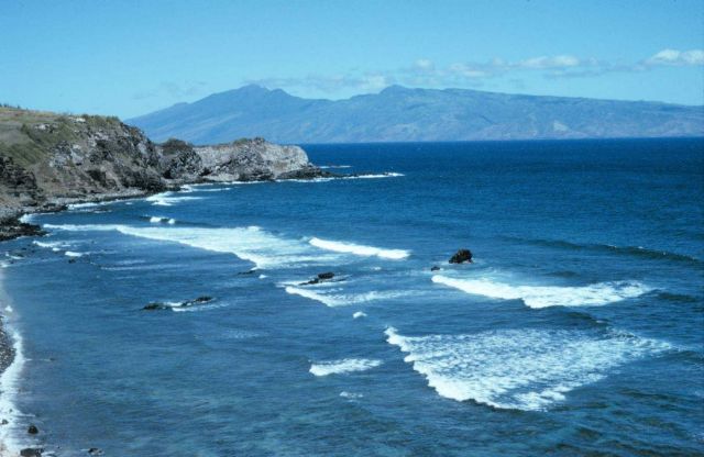 Hawea Point Picture