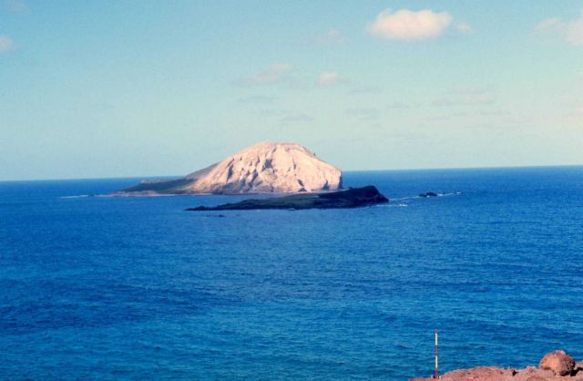 Rabbit Island Picture