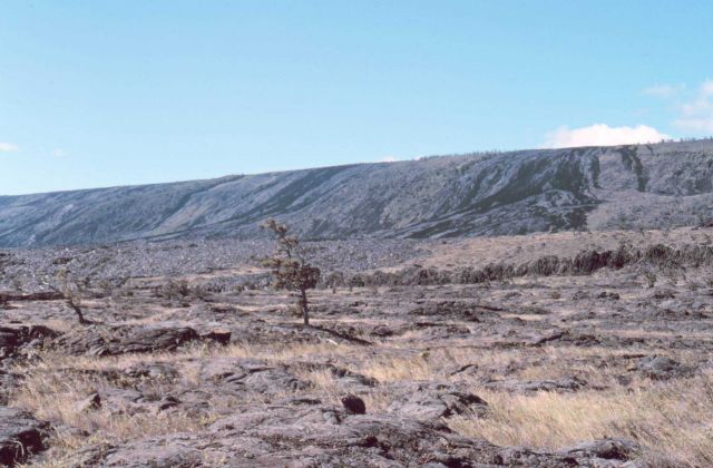 Looking at Kilauea Volcano from the coast road Picture