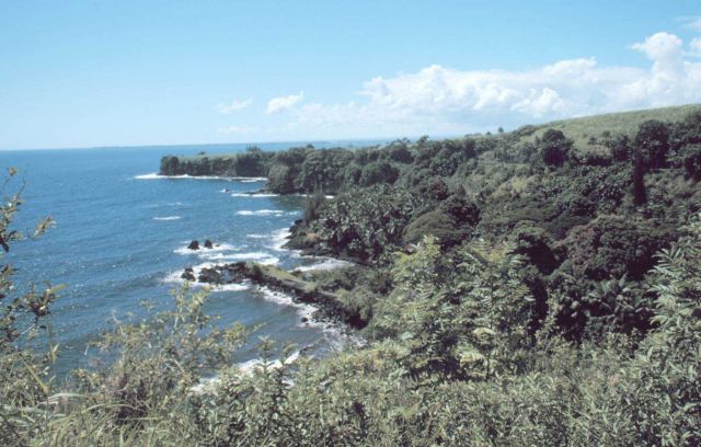 A coastal scene north of Hilo Picture